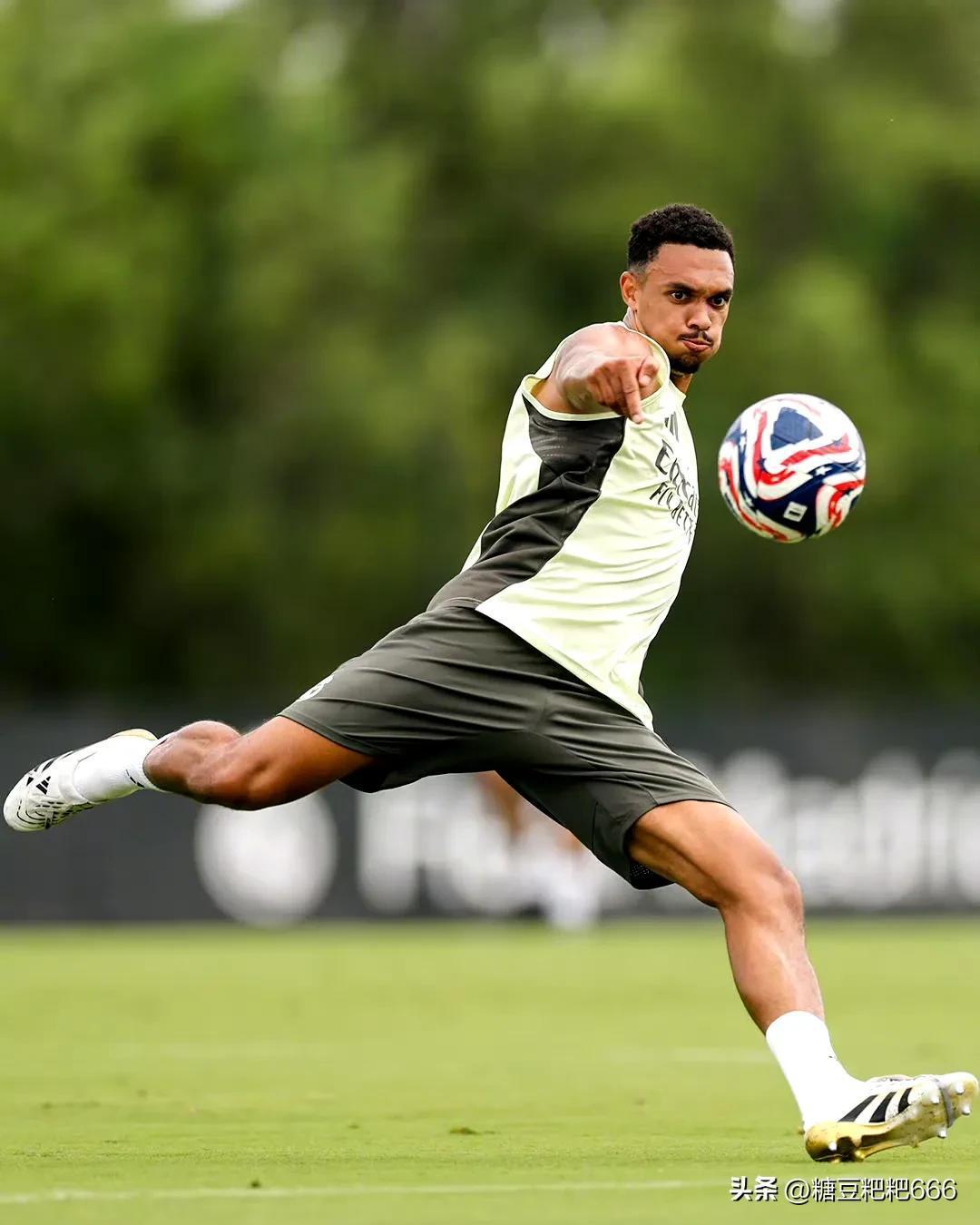 包含皇马主场力擒马德里竞技，欧冠夺冠辣莫芬的词条