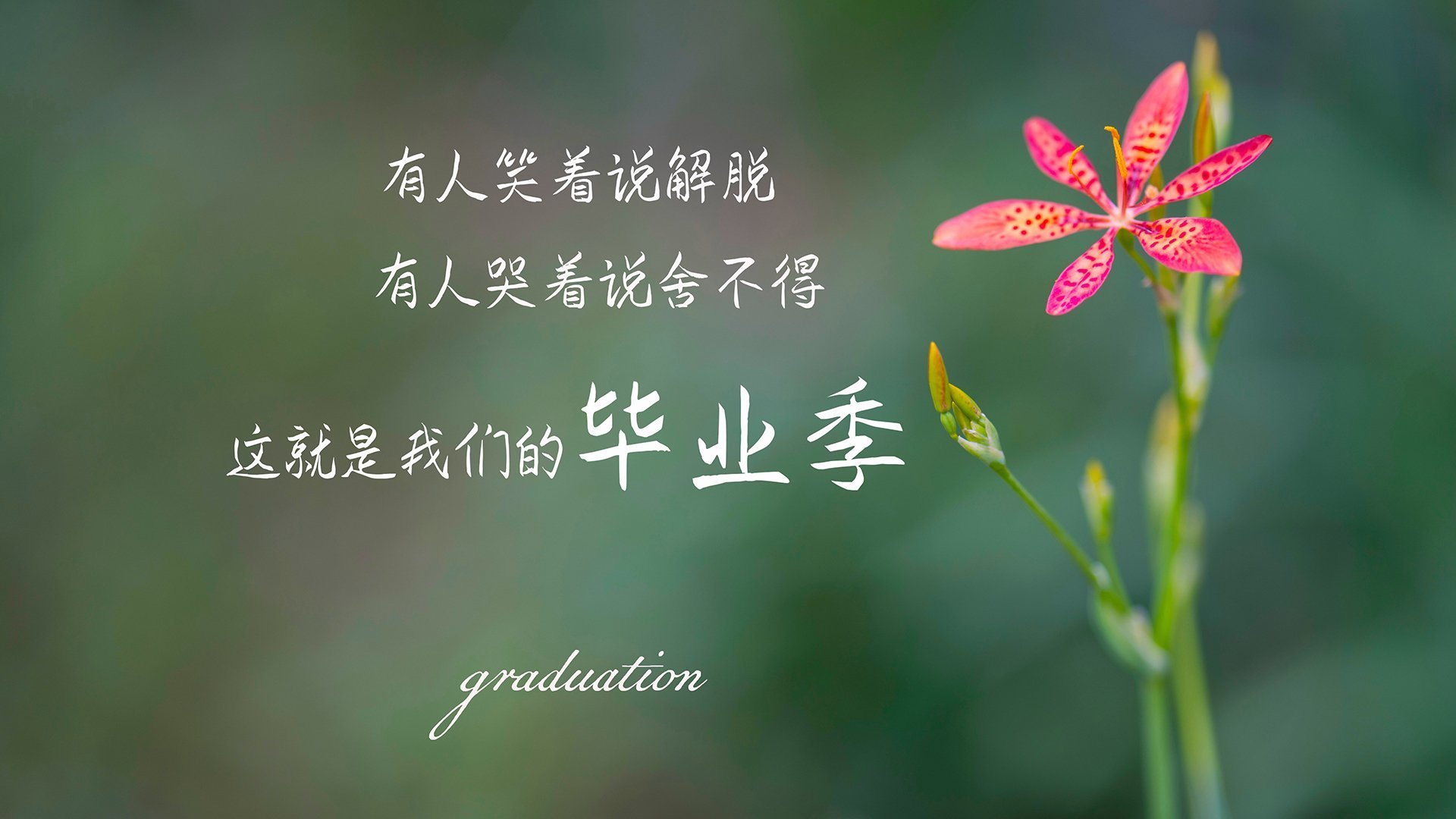 火箭争冠战胜出魔术，杜兰特硬仗之王