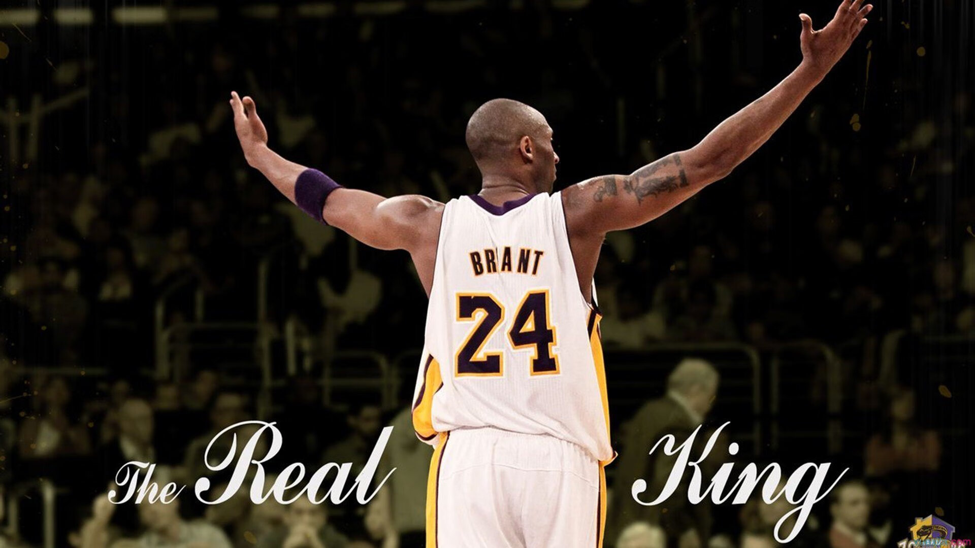 鹈鹕绝境展翅,德罗赞完美风暴终结森林狼赛季